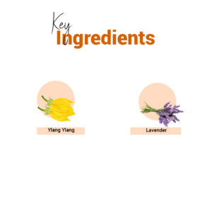 Natural ingredients of face oil for glowing skin