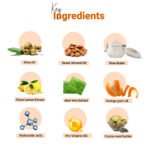 Ingredients of vitamin c kit