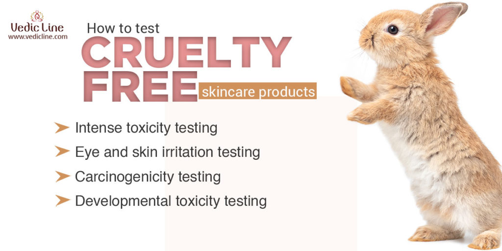 How to test Cruelty-free products-vedicline