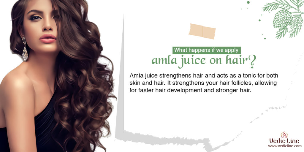 Amla Oil for Hair Growth  Does It Really Work For Hair Growth  VedaOils