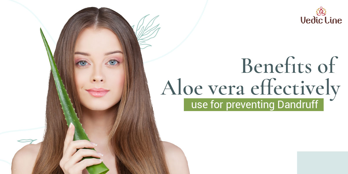 Aloe Vera Anti-Dandruff Repair Shampoo Hair Softening Shampoo G5I9 | eBay