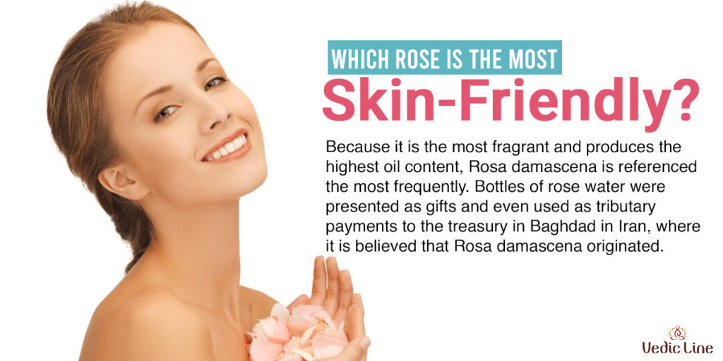 Rose Oil Benefits For Your Skincare: Discover At ALYAKA