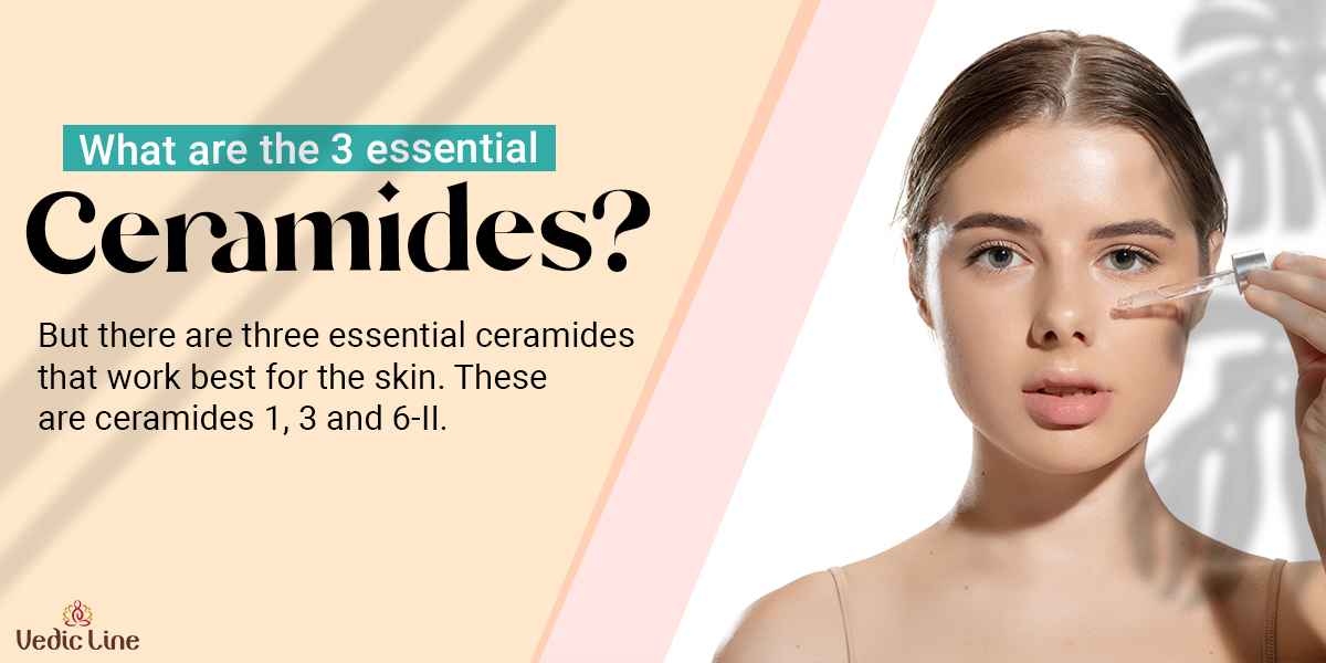 The Skin Benefits of Ceramides You Should Know Vedicline