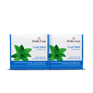 Cool Mint Facial Kit (Pack of 2)