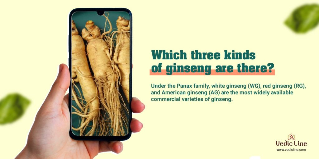 ginseng benefits For skin