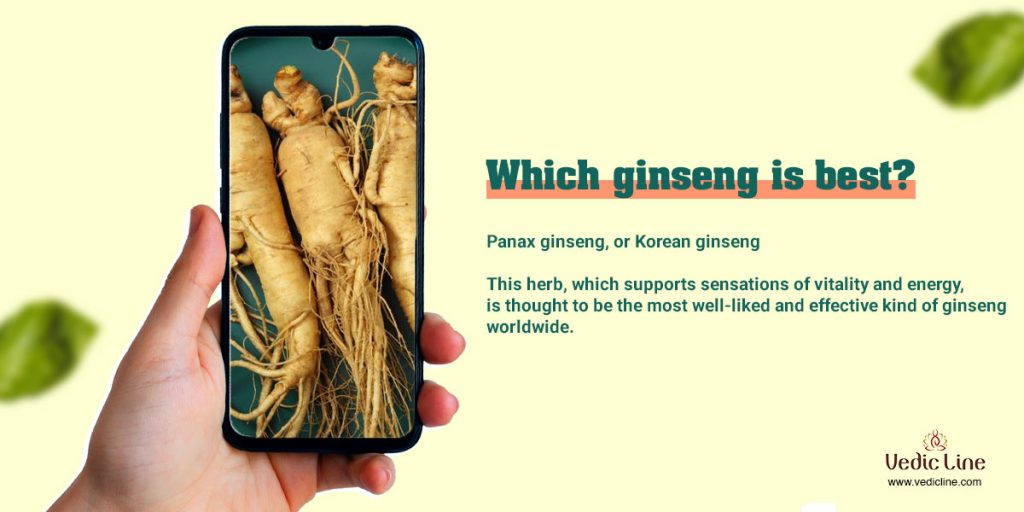 ginseng benefits For skin