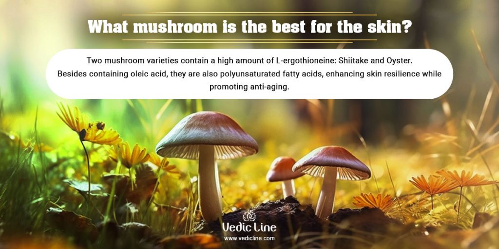 Discover Mushrooms Benefits For Skin Your New Anti-Wrinkle Weapon