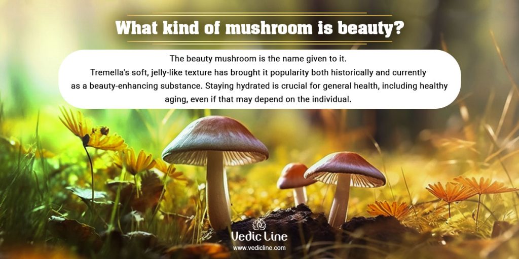 Discover Mushrooms Benefits For Skin Your New Anti-Wrinkle Weapon